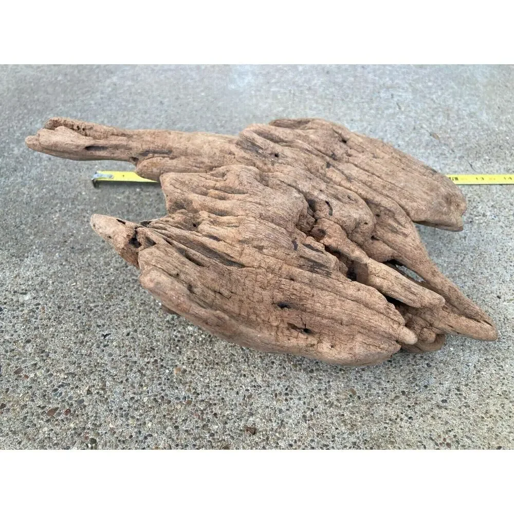 Ohio River Driftwood 11